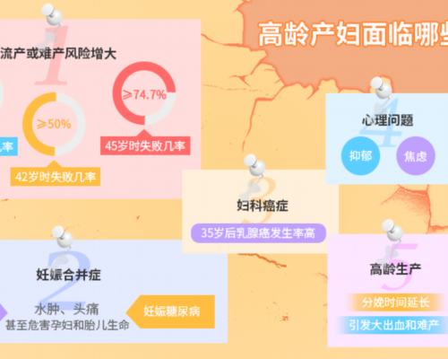 温州鹿城区助孕专家及公司一览表，排队慢的家庭如何实现快速好孕